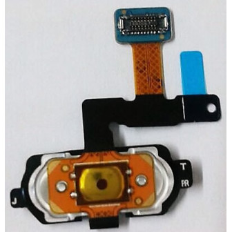 ^FB2AD6A147E3F840231991CEB62C518731113E43A35DB62D7A^pimgpsh_fullsize_distr