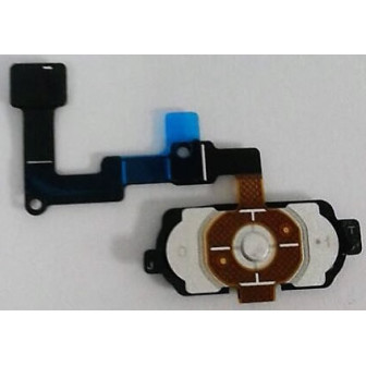 ^21F9AE443EC8AB9F5F9F8E917BBAB2CFFCA5C40CF168CB88BE^pimgpsh_fullsize_distr